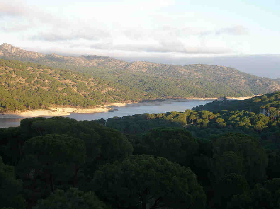 Vista al pantano desde dentro de un chalet